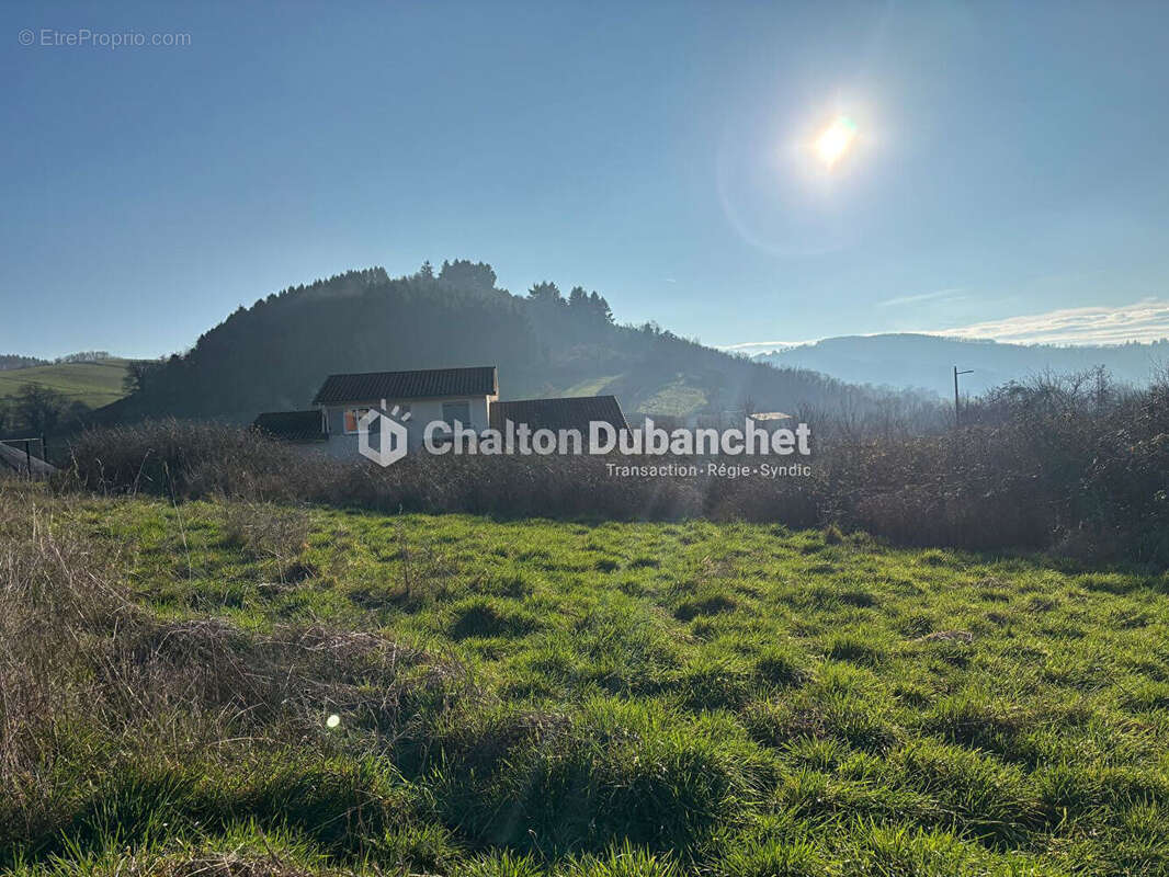 Saint  victor sur rhins - terrain de 1396 m² - photo 2