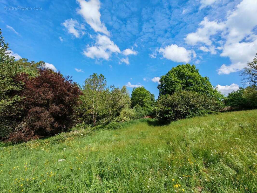 IMG20250506120131 - Maison à LIMOGES