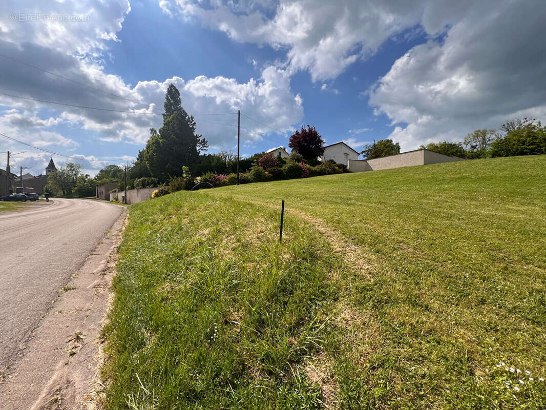 Terrain à FROVILLE