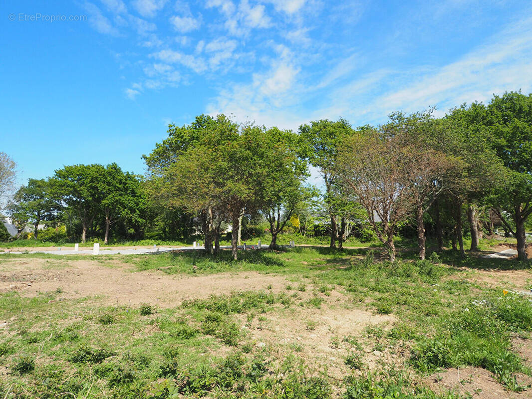 Terrain à CONCARNEAU