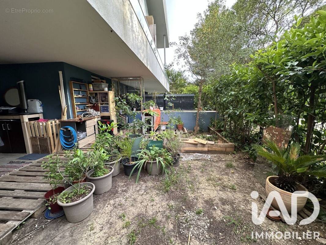 Photo 1 - Appartement à MONTPELLIER
