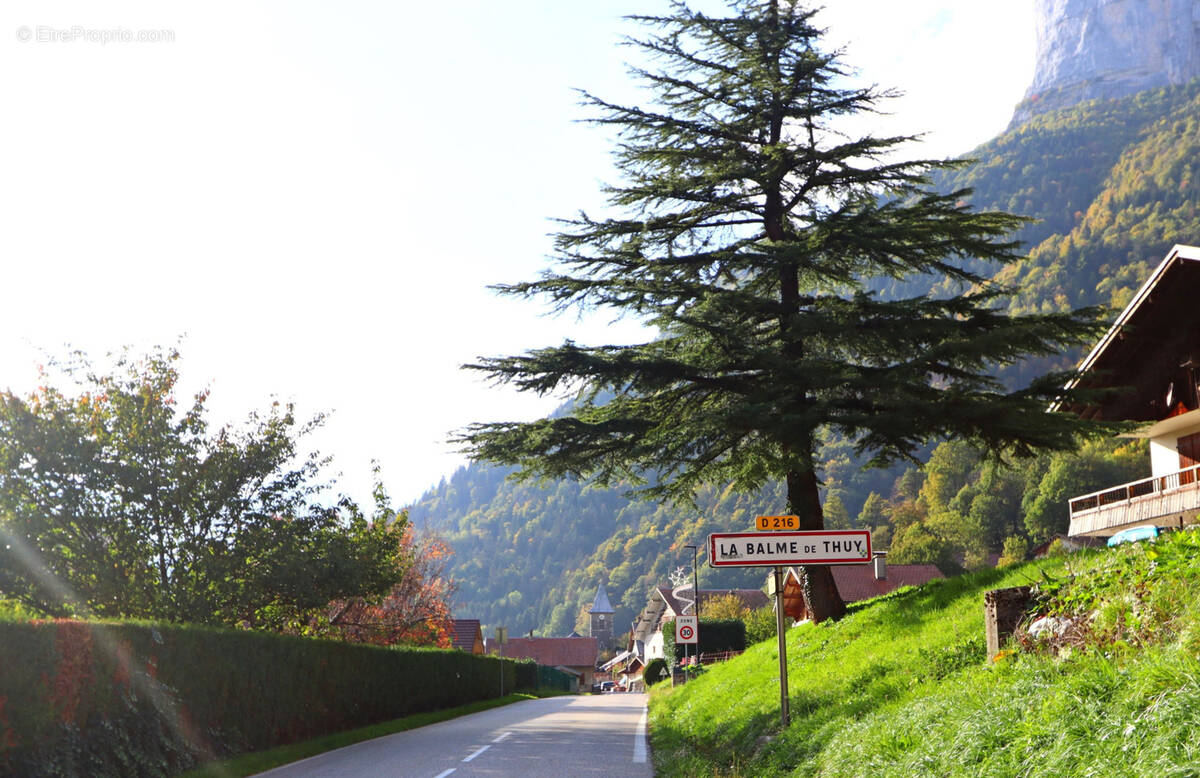 Terrain à LA BALME-DE-THUY