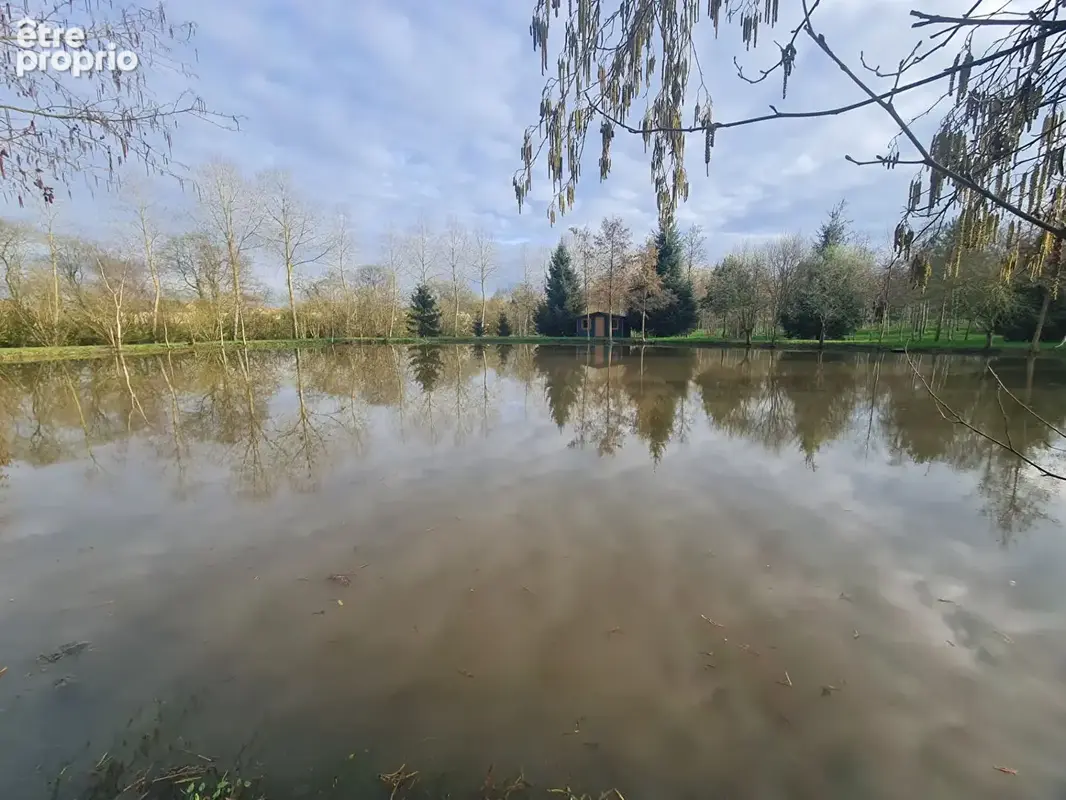 Plan d'eau et bois sur 47 800 m²  -  sortie d'alencon - photo 6