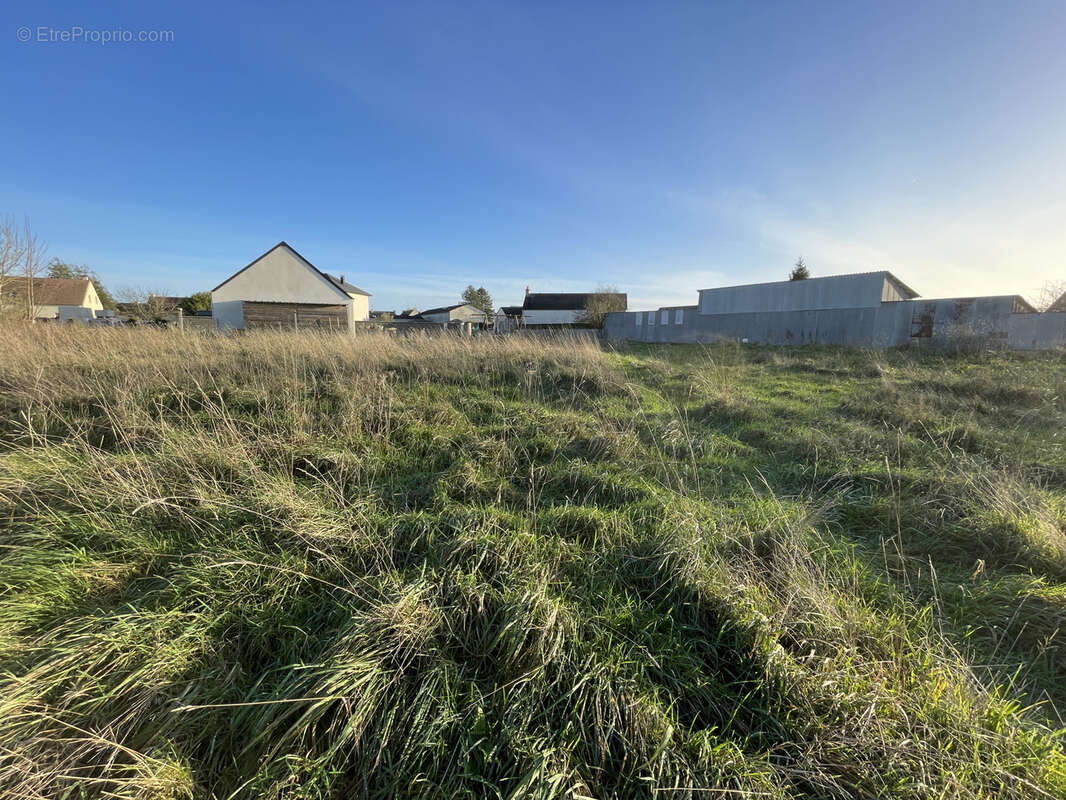 Terrain à TREVIERES