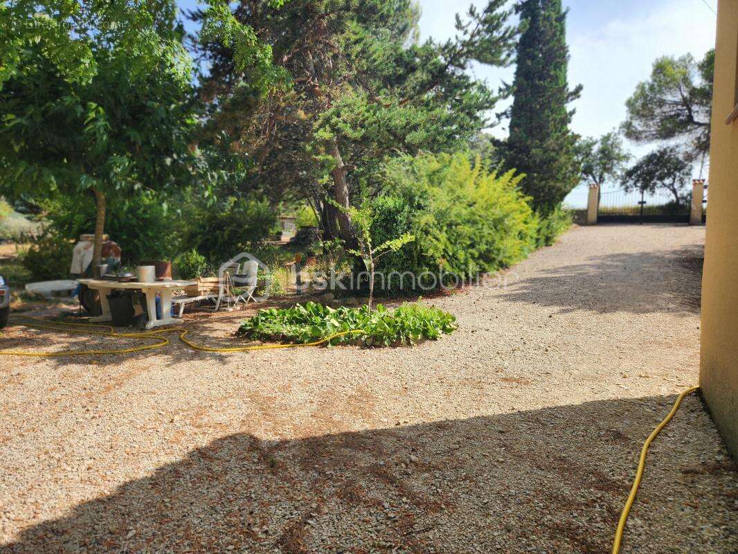 Nouveaute en exclusivite - photo 20
