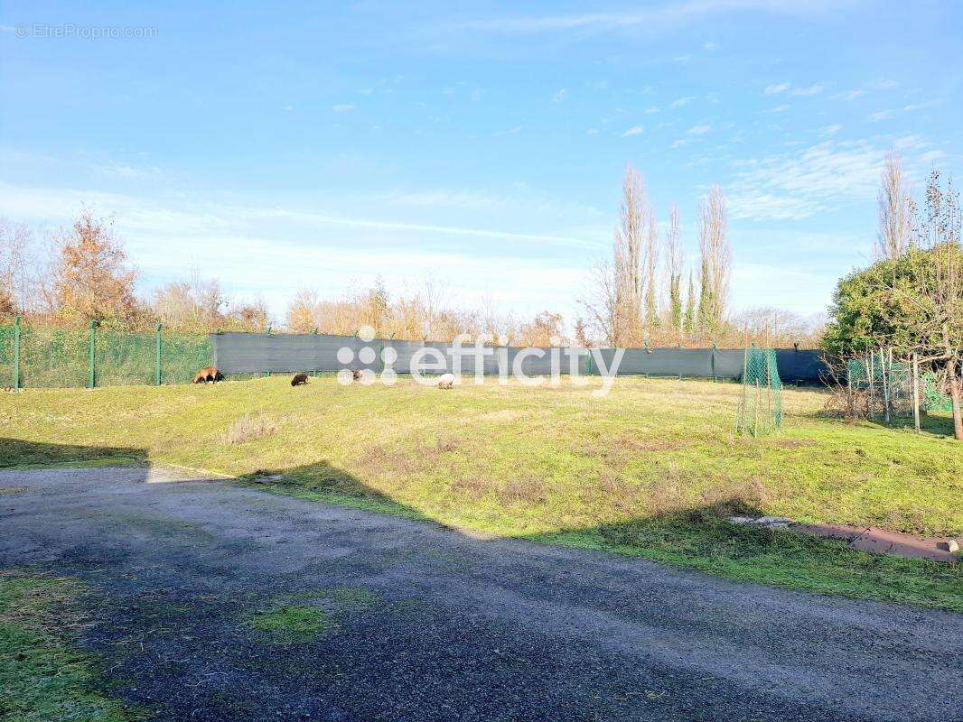 Commerce à NOGENT-LE-ROTROU