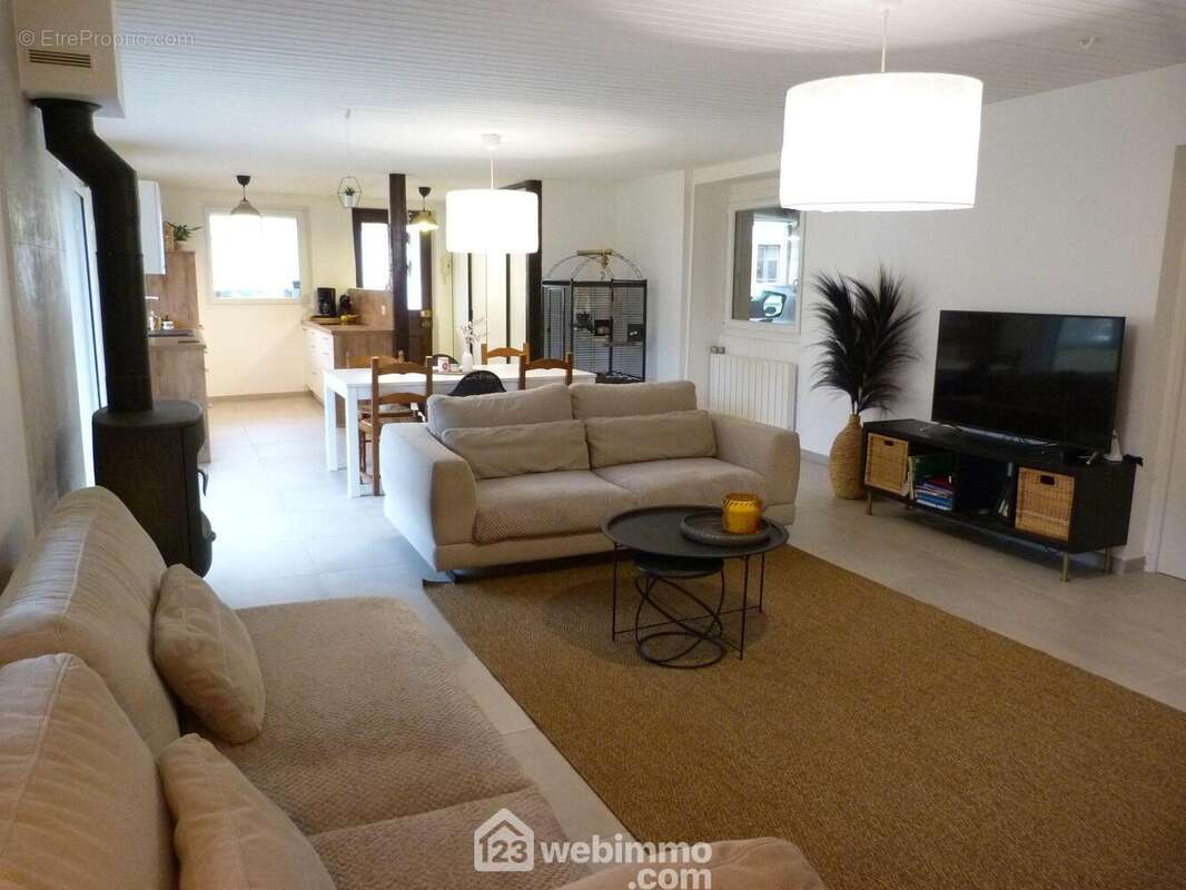 Vaste pièce de vie de 50 m2 - Maison à SAINT-MARTIN-D'HERES