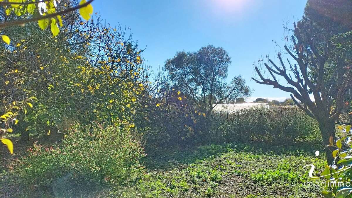 Maison à COURNONTERRAL