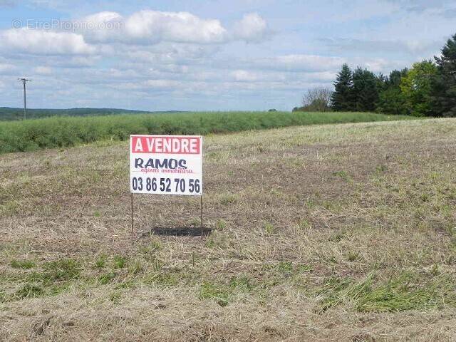 Terrain à SEIGNELAY