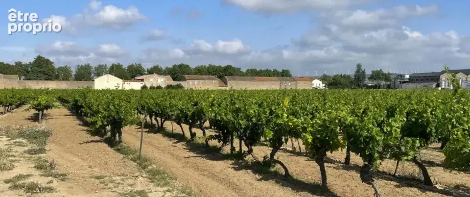 Terrain à CANET