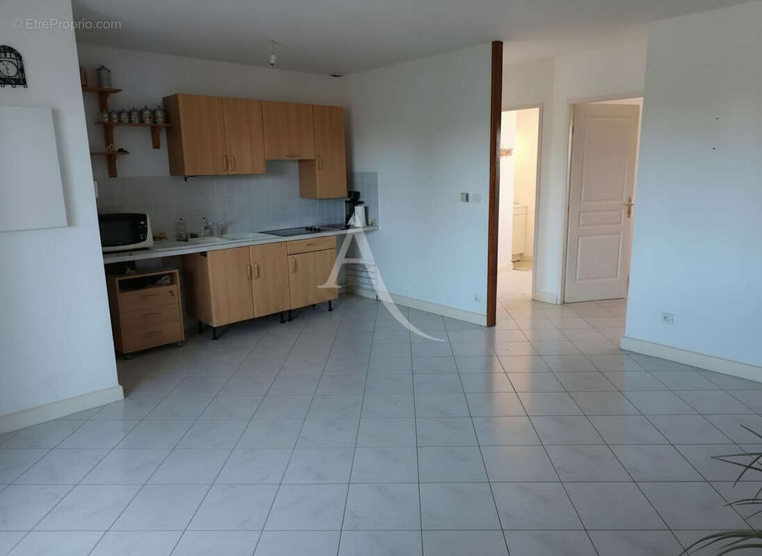 Appartement  libre 1 chambre - photo 2