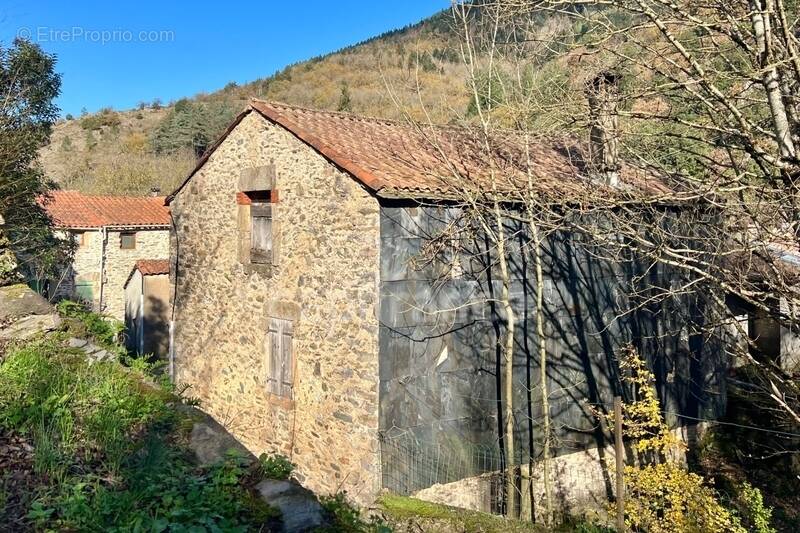 Maison à VERRERIES-DE-MOUSSANS