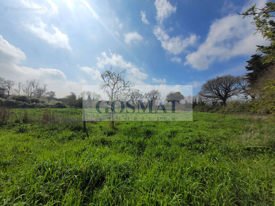 Propriété de 158m2 sur plus de 4.5ha de terres attenantes - photo 9