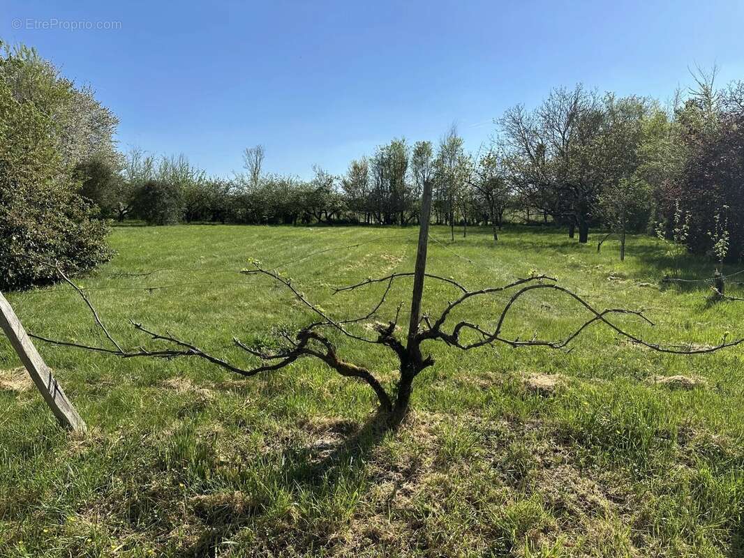 Terrain à SAINT-MAURICE-LA-CLOUERE