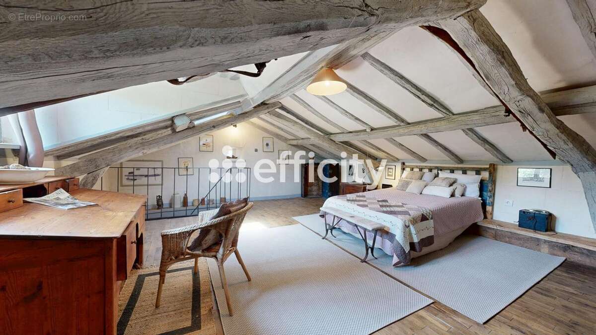 Maison 378 m² à Montet-Et-Bouxal  - photo 9