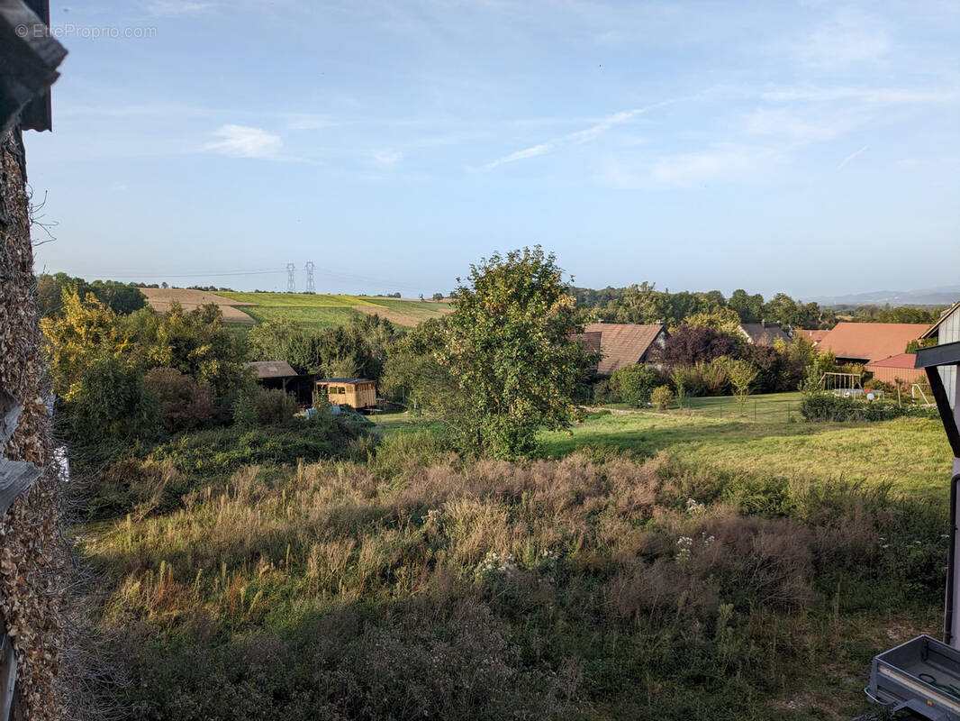 Terrain à HELFRANTZKIRCH