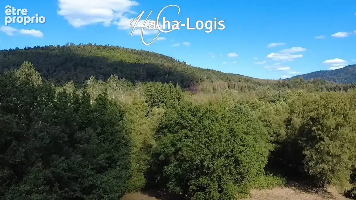 Exclusivité : Grande maison de 500 m2 sur 3 hectares de terrain, DPE en C ! - photo 4