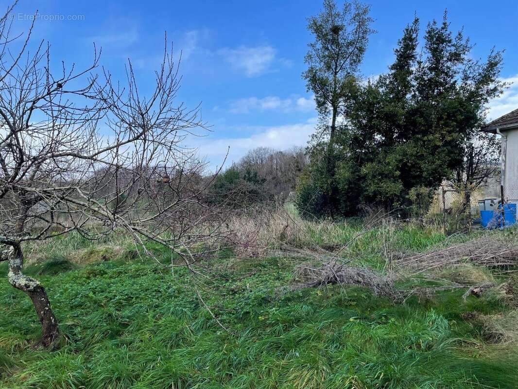 Terrain 1074 m² à Brannay  - photo 2