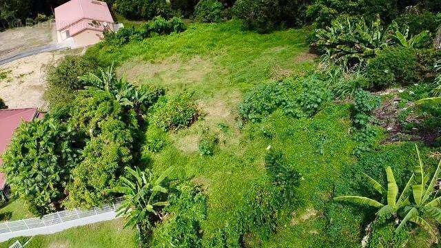 Terrain constructible a schoelcher - photo 3