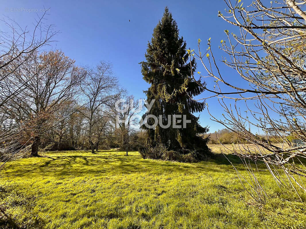 Maison à GRENADE-SUR-L'ADOUR