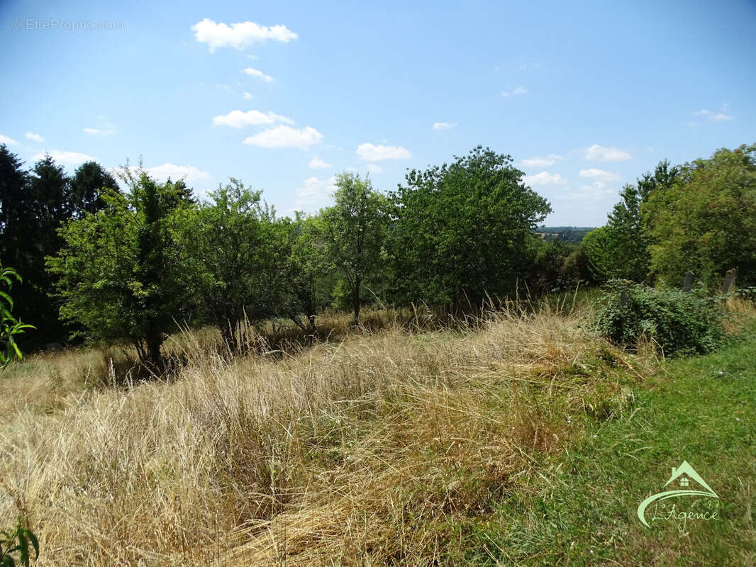 Terrain à SAINT-VICTURNIEN