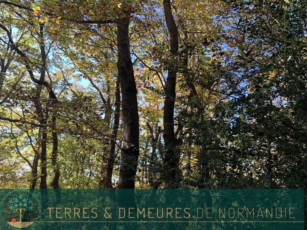 Terrain à BEUZEVILLE