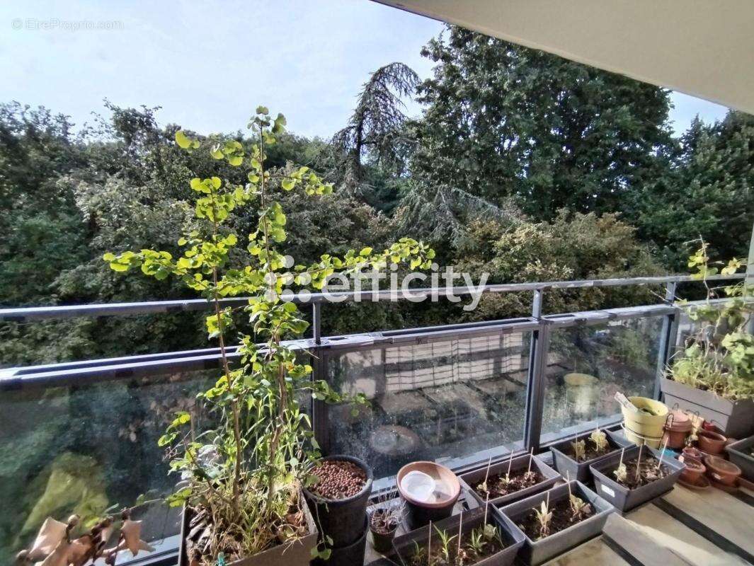 Appartement à SCEAUX