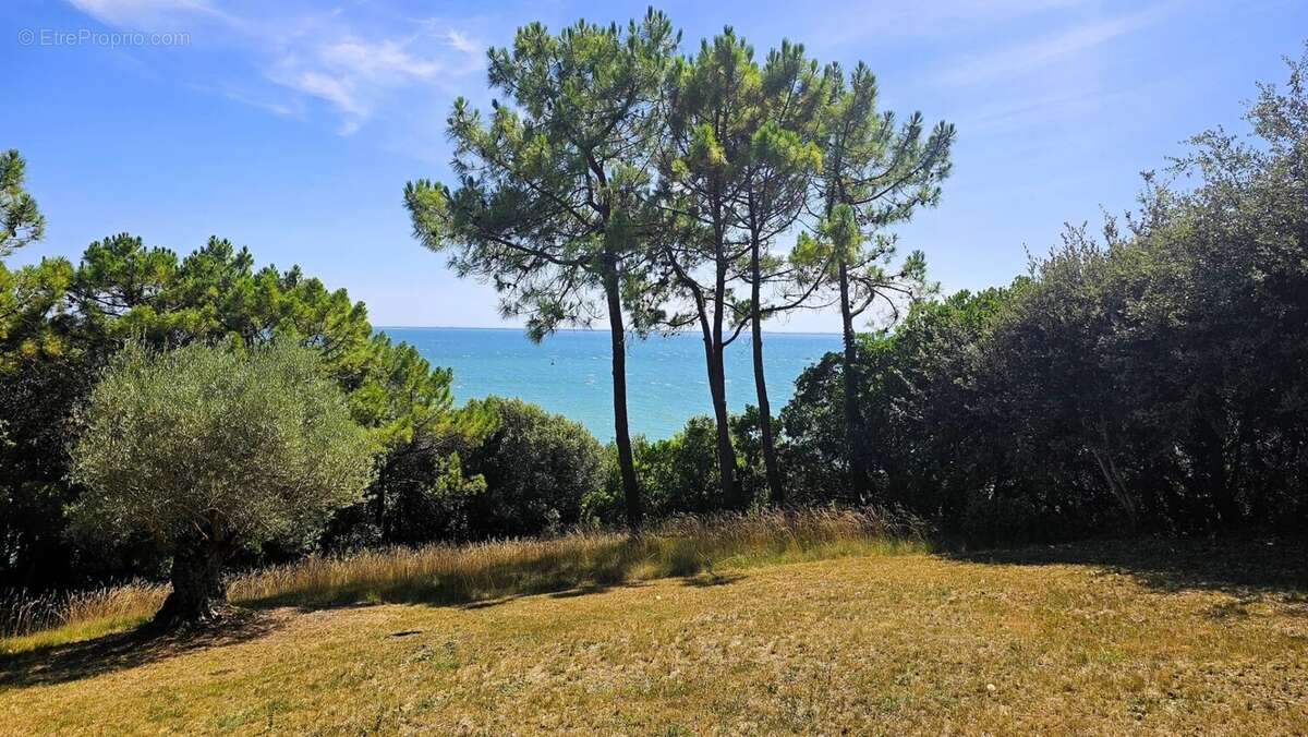 Maison à SAINT-GEORGES-DE-DIDONNE