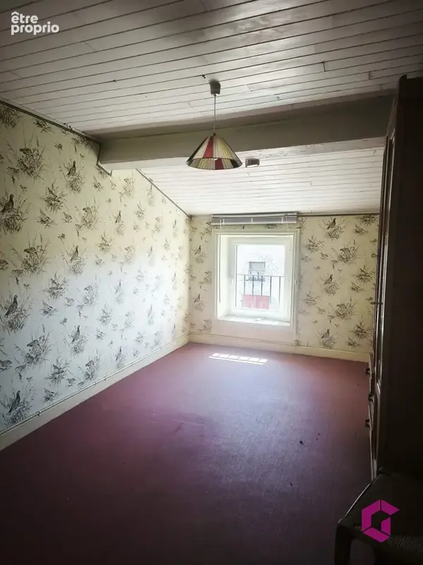 Maison de bourg de 230 m2 avec 11 chambres et un petit jardin, Idéal gite ! - photo 10