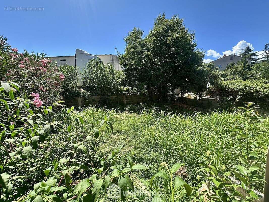 Jardin privatif d&#039;environ 150 m2 - Maison à BIGUGLIA