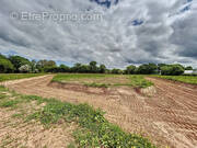 Terrain à NEGREVILLE