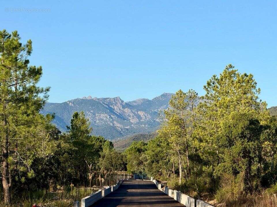 Maison à PORTO-VECCHIO