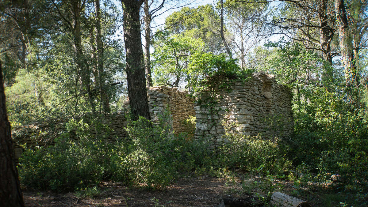 Maison à L'ISLE-SUR-LA-SORGUE