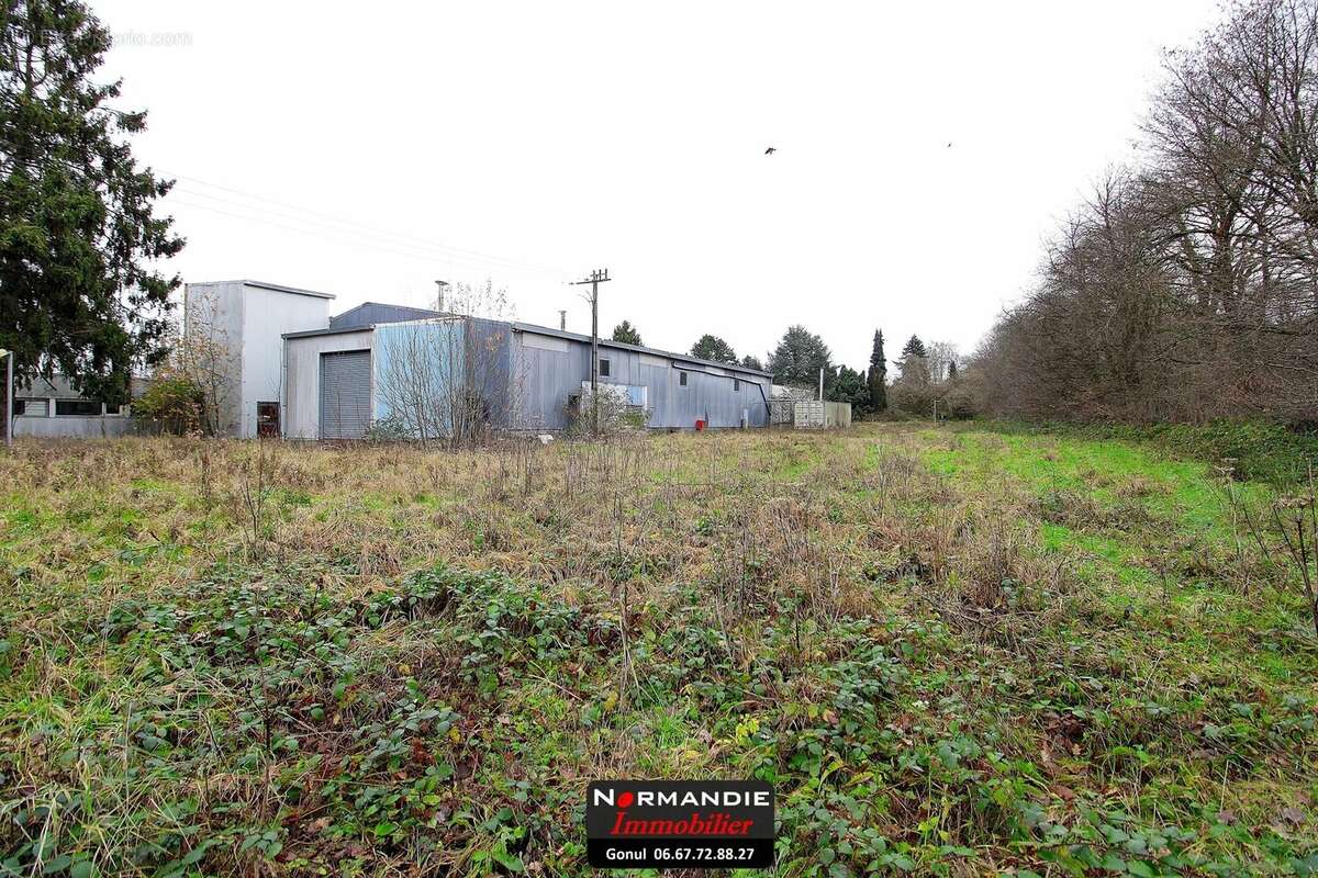 Commerce à QUINCAMPOIX