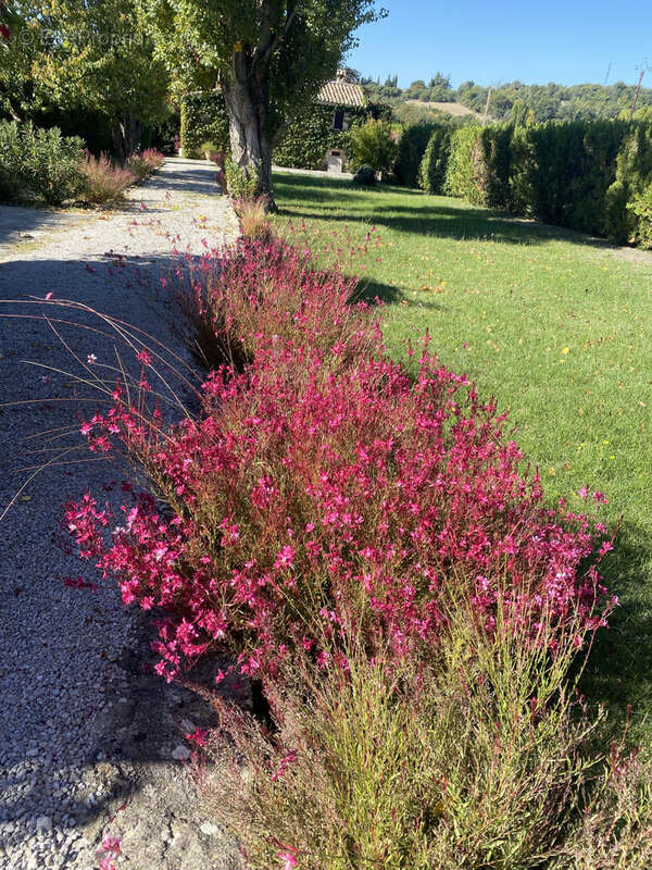 Maison à FORCALQUIER