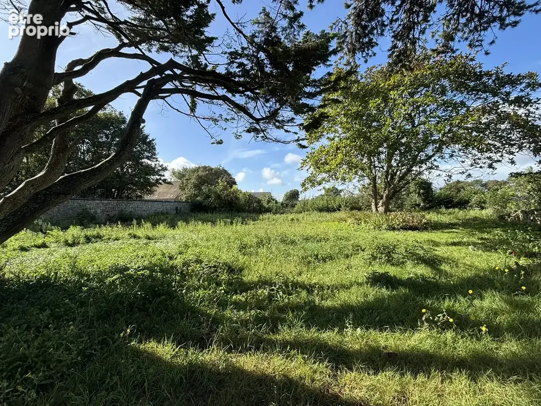 Maison bourgeoise - 11 pièces - VIERVILLE SUR MER - photo 14