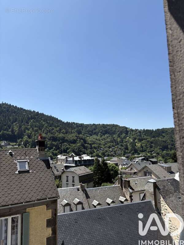 Photo 6 - Appartement à MONT-DORE