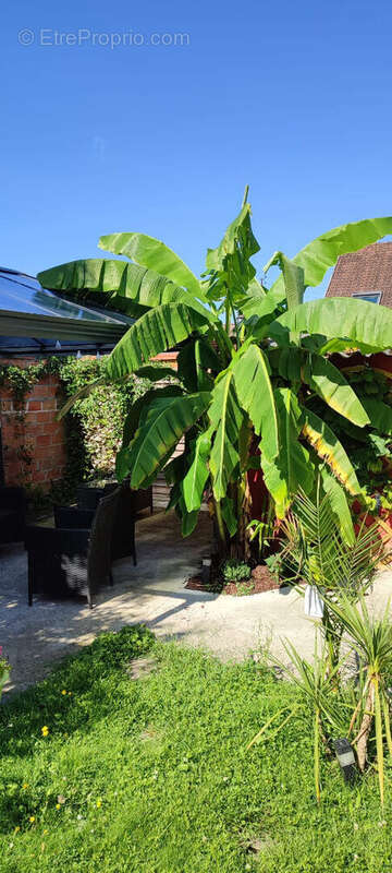 Maison à CLICHY-SOUS-BOIS