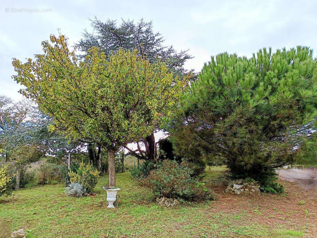 Maison à BOURCEFRANC-LE-CHAPUS