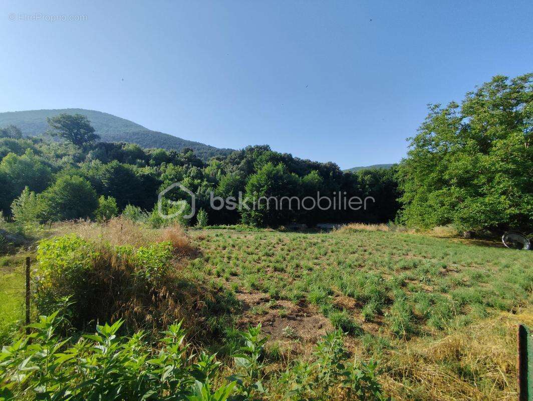 Maison à SAINT-ETIENNE-D&#039;ALBAGNAN