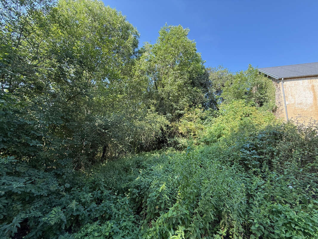 Auv 1225: Maison de caractère, grande grange, toits neufs, 1640m2 - photo 69