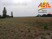 Photo 1 - Terrain à FONTAINES