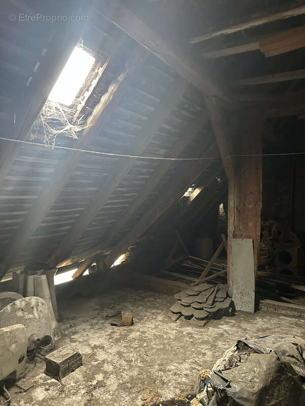 Maison à LA ROCHE-SUR-FORON