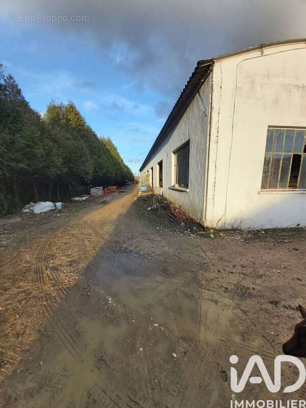 Photo 2 - Terrain à VILLENEUVE-SUR-YONNE