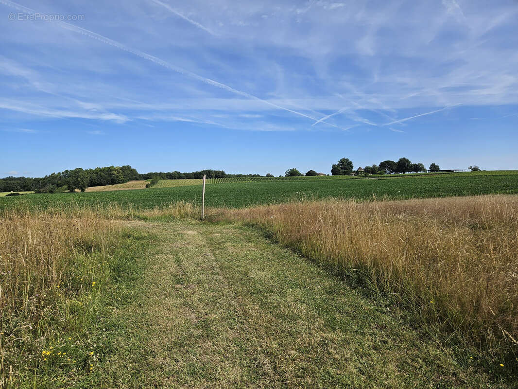 Terrain à COUTURES