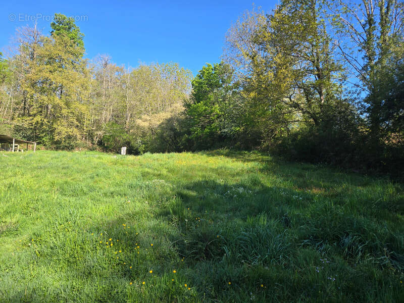 Terrain à SAINT-YRIEIX-SOUS-AIXE