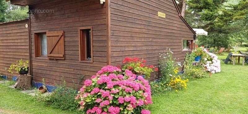 Terrain à TALMONT-SAINT-HILAIRE