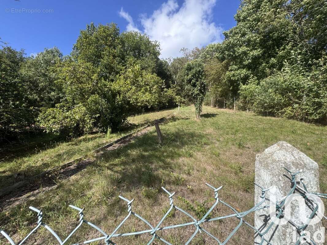 Photo 5 - Maison à MONTLHERY