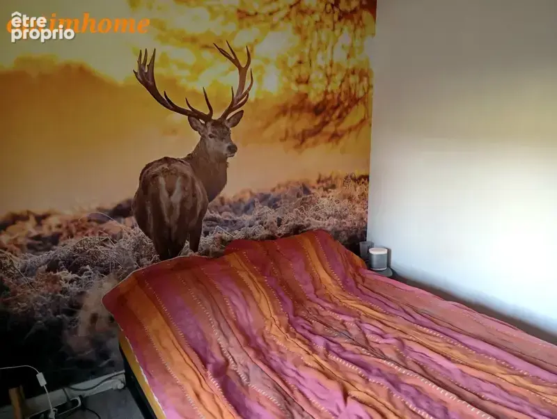 Maison 140 m² plein pied– 4 chambres – 5 hectares – dépendance - photo 6
