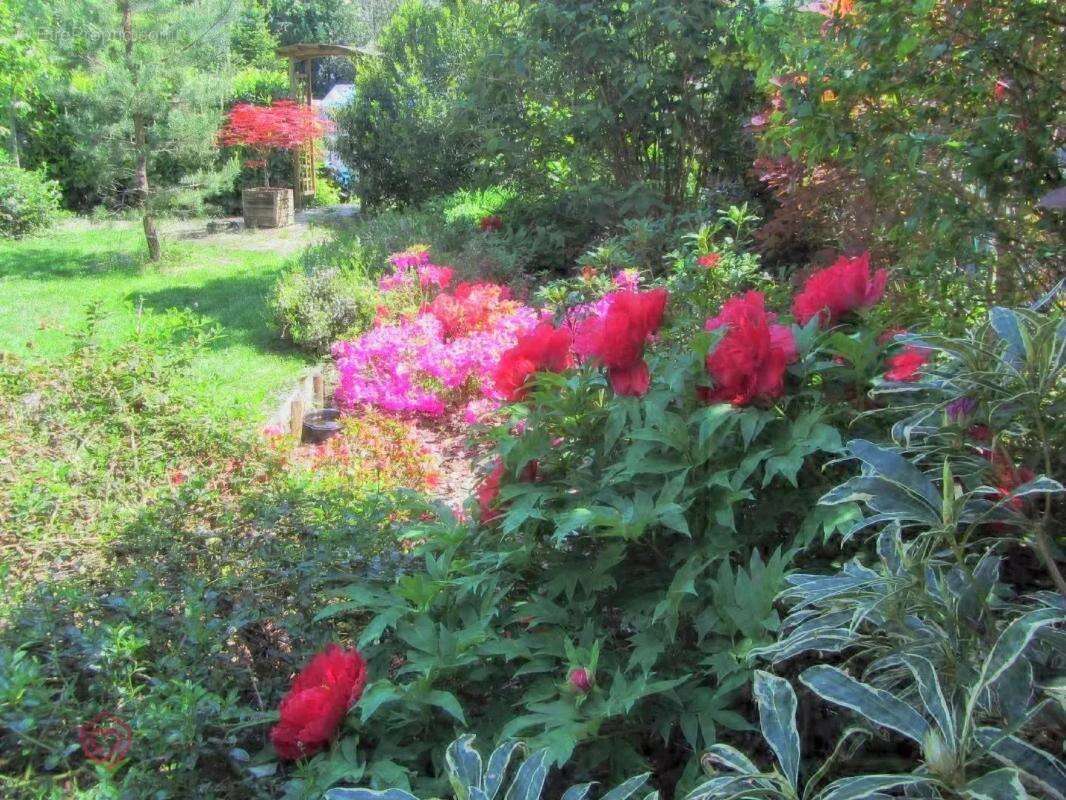 Maison à BAGNERES-DE-LUCHON